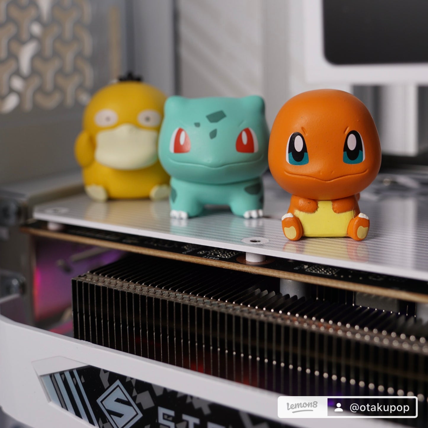 FUNISM Pokémon Mini Miracles Series - Wild Field Edition (Vol. 1) Figures